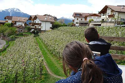 Rindviehhaltung am Schötzerhof