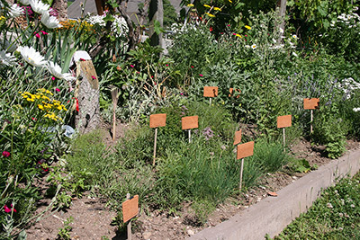 Der Kräutergarten vom Schötzerhof